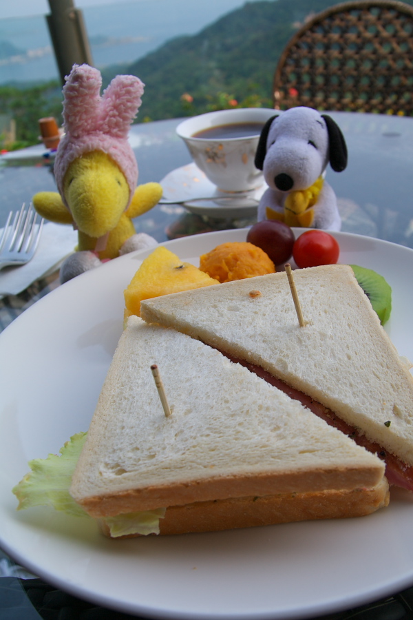 IMGP0096.jpg(239527 byte)