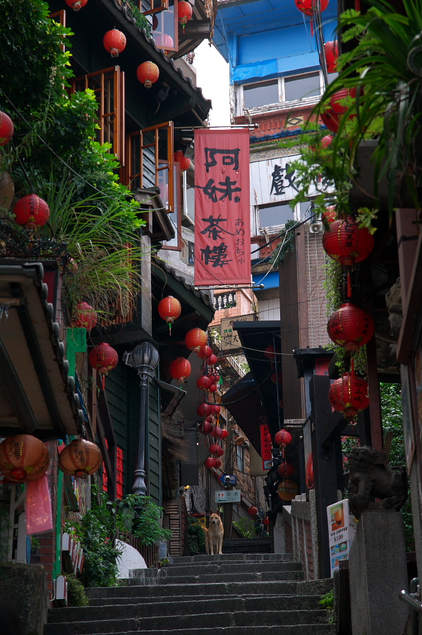 IMGP0103.jpg(415690 byte)