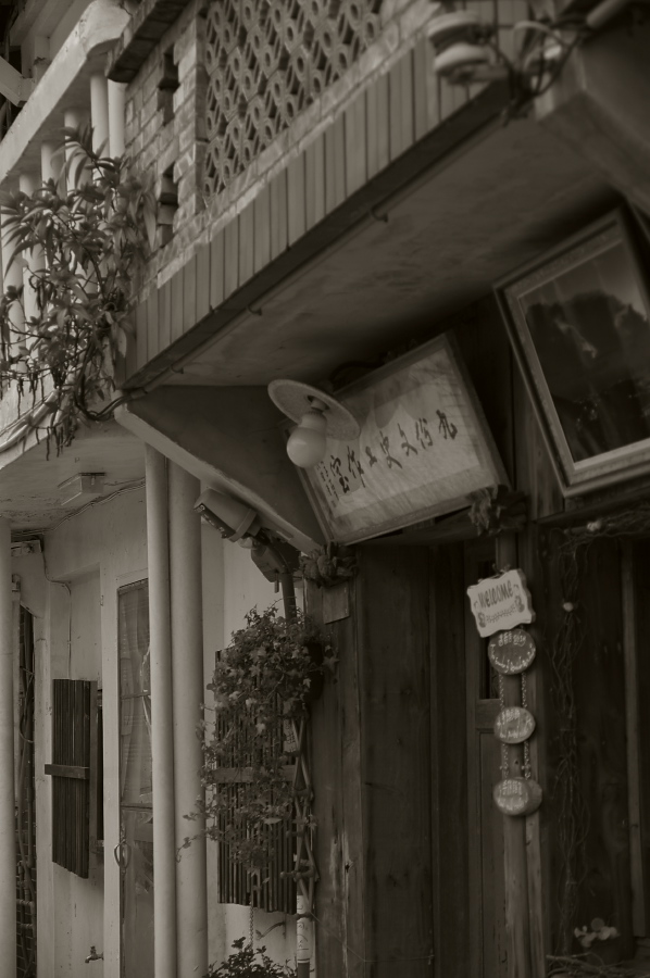 IMGP0128.jpg(209286 byte)