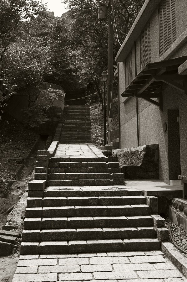 IMGP0138.jpg(400562 byte)