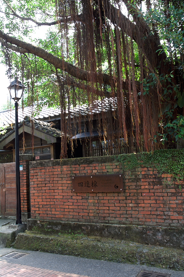 IMGP0139.jpg(570910 byte)