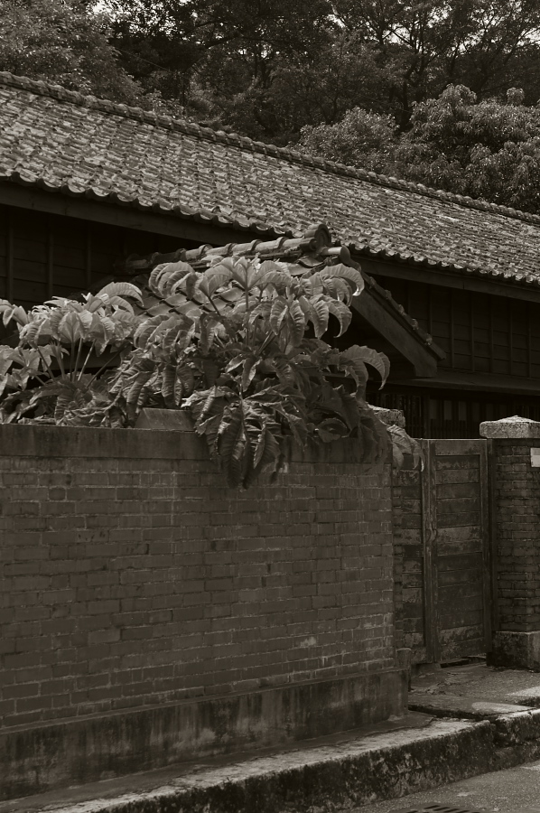 IMGP0145.jpg(326805 byte)