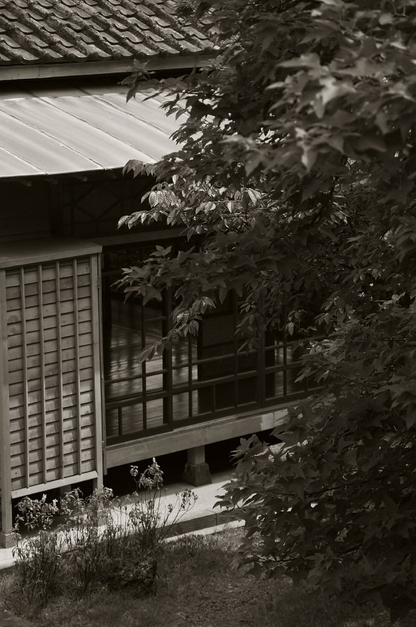 IMGP0166.jpg(303475 byte)