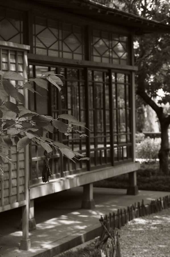 IMGP0169.jpg(215646 byte)