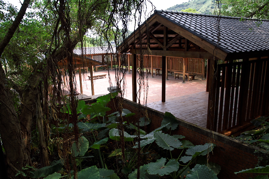 IMGP0184.jpg(499471 byte)