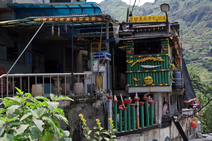 IMGP0272.jpg(455229 byte)