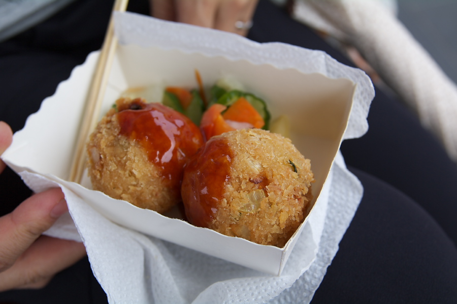 IMGP0300.jpg(192783 byte)