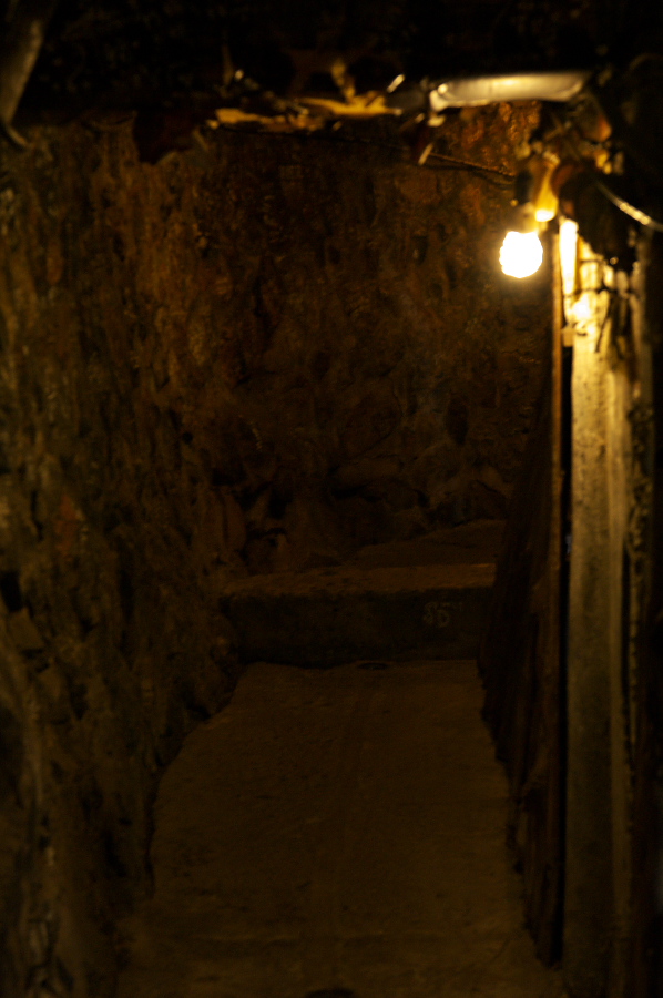 IMGP0394.jpg(242091 byte)