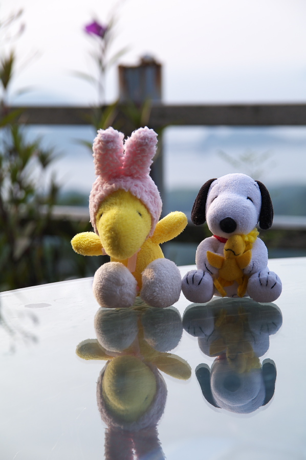 IMGP0416_1.jpg(189745 byte)