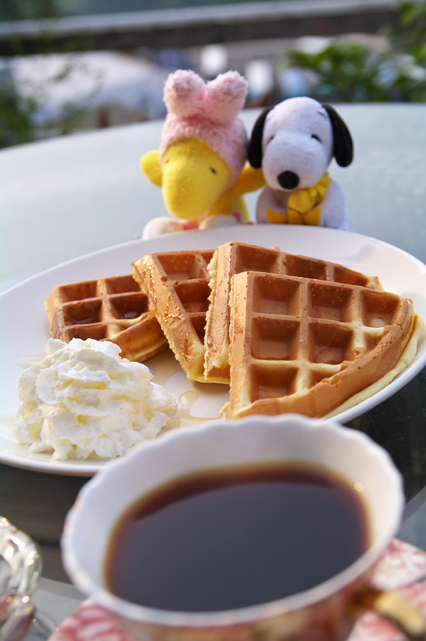 IMGP0422_1.jpg(216360 byte)