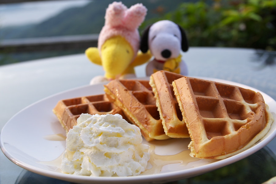 IMGP0425_1.jpg(215312 byte)