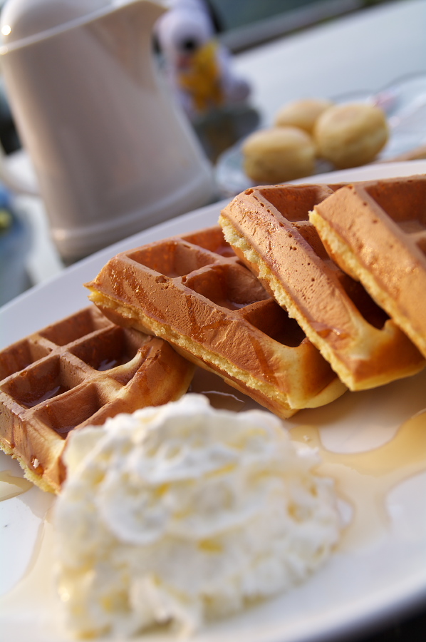 IMGP0433_1.jpg(212541 byte)