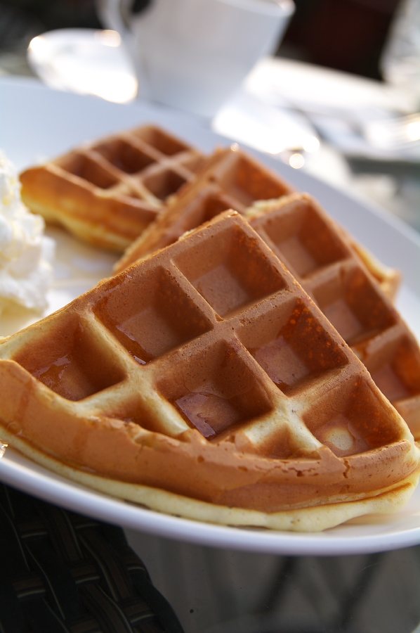 IMGP0435_1.jpg(203298 byte)