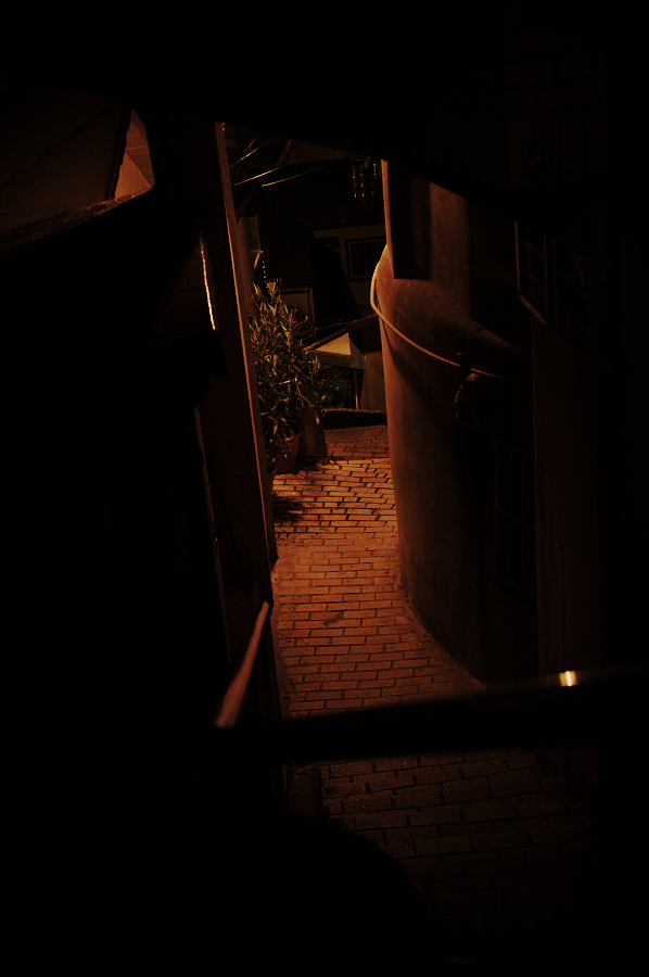 IMGP0090.jpg(146769 byte)