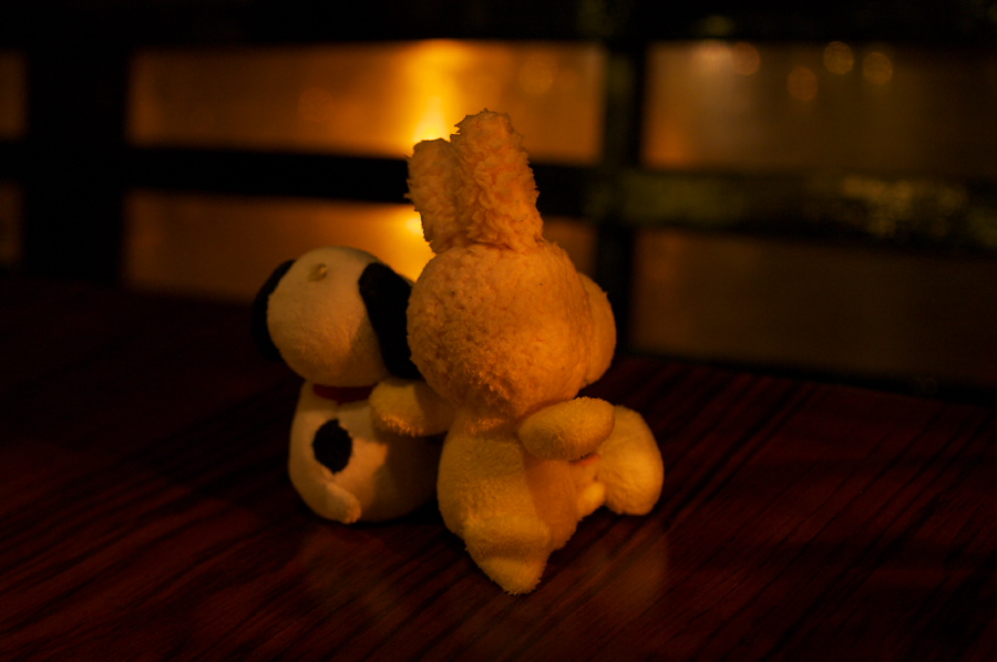 IMGP0133.jpg(174423 byte)