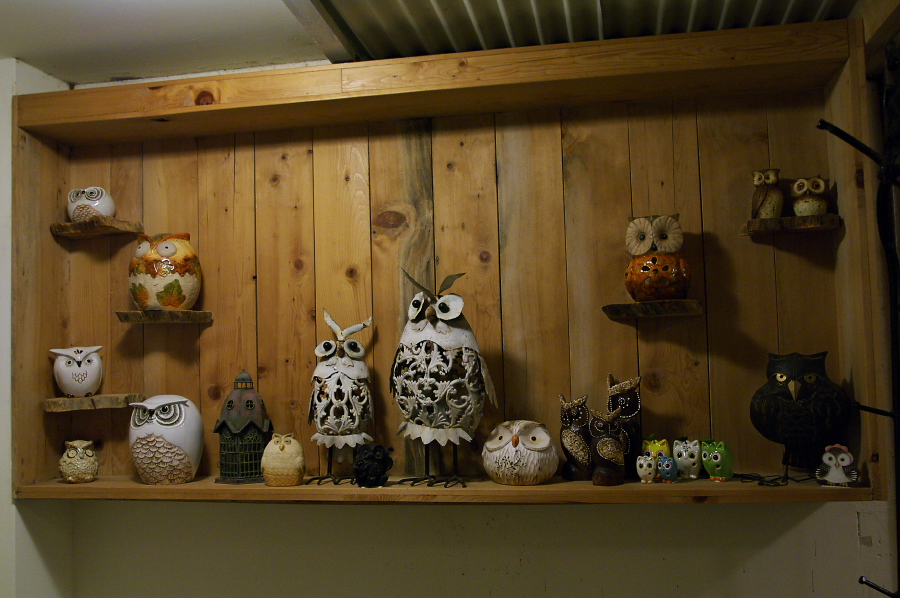 IMGP0129.jpg(329194 byte)