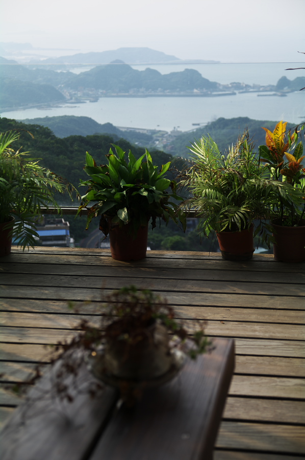 IMGP0407.jpg(238985 byte)