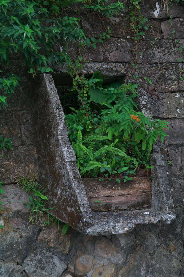 IMGP0049.jpg(500221 byte)