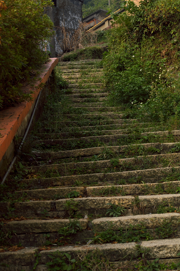 IMGP0075.jpg(488023 byte)