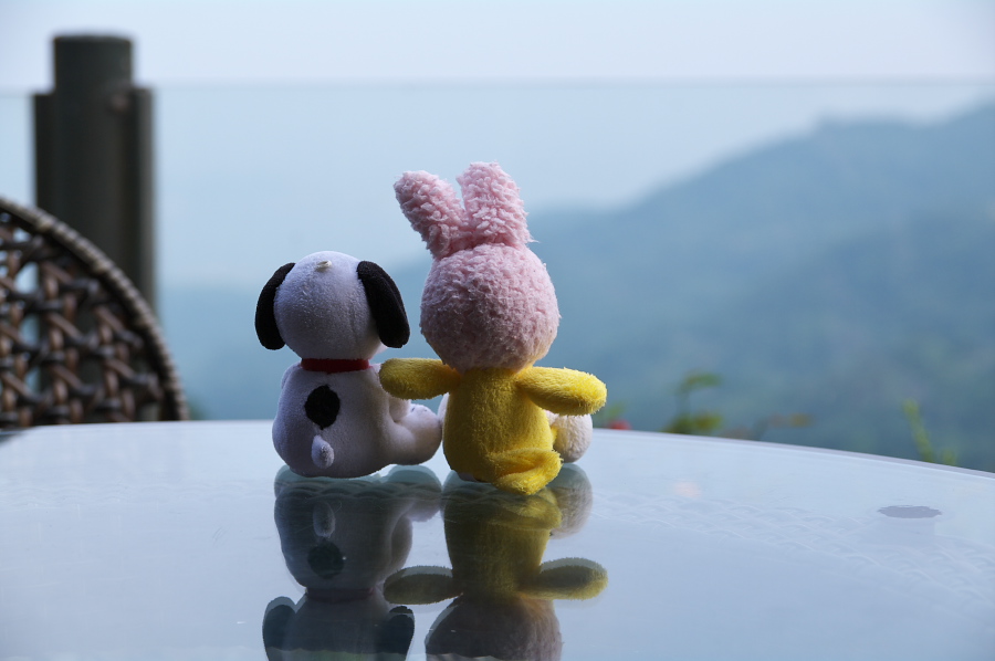 IMGP0100_2.jpg(161749 byte)