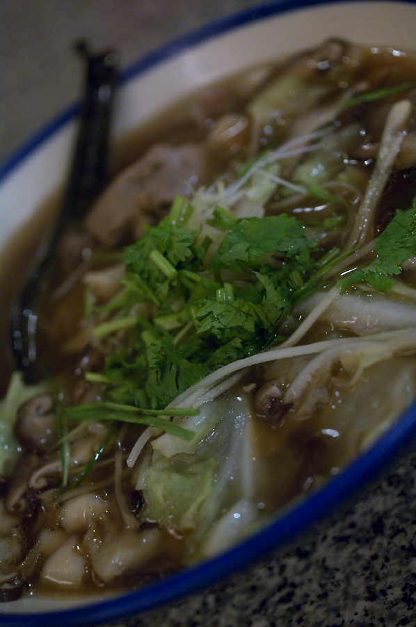 IMGP0270.jpg(282991 byte)