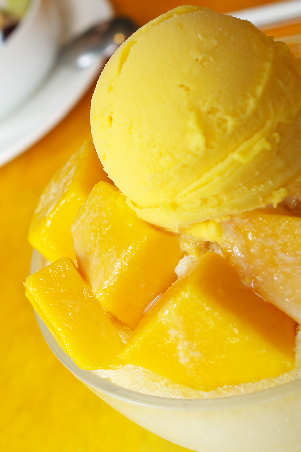 IMGP0140.jpg(218596 byte)