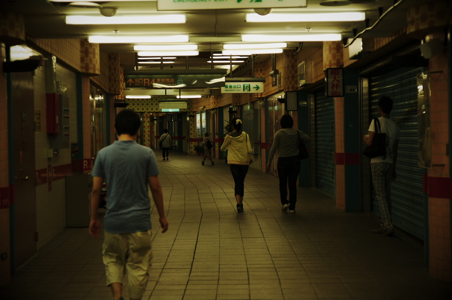 IMGP0022.jpg(242587 byte)