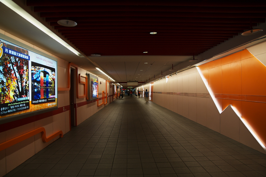 IMGP0027.jpg(259096 byte)