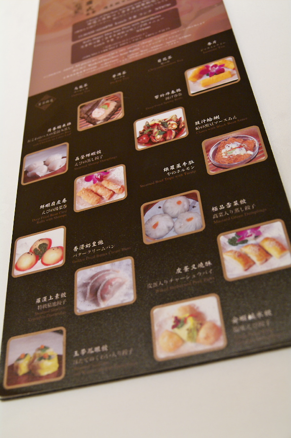 IMGP0037.jpg(265860 byte)