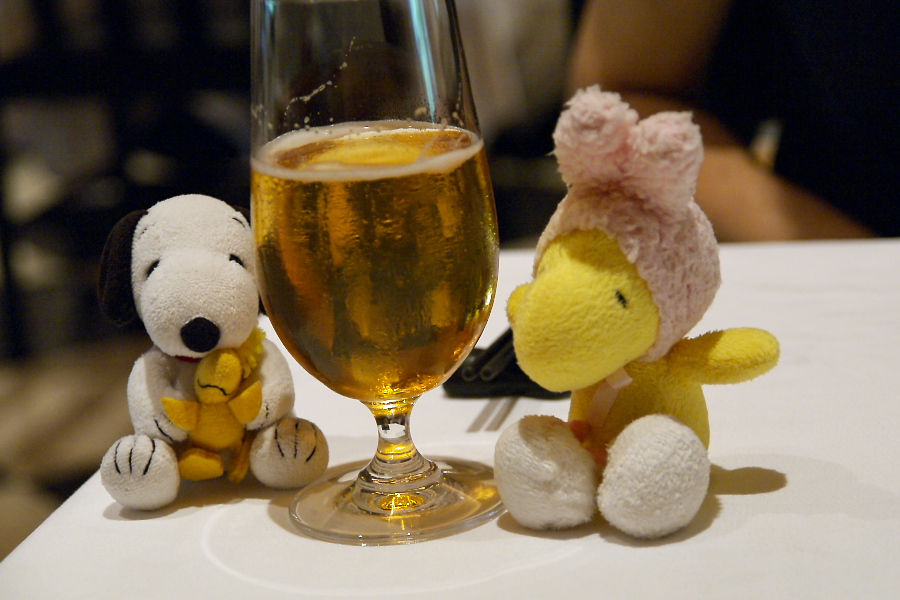 IMGP0054.jpg(270043 byte)