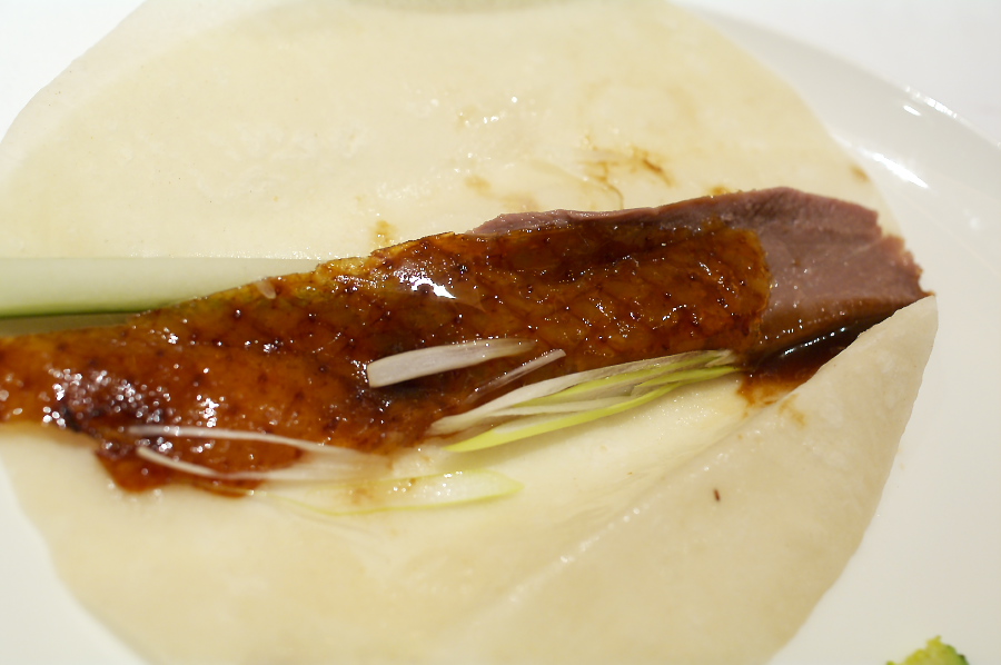 IMGP0125.jpg(193435 byte)