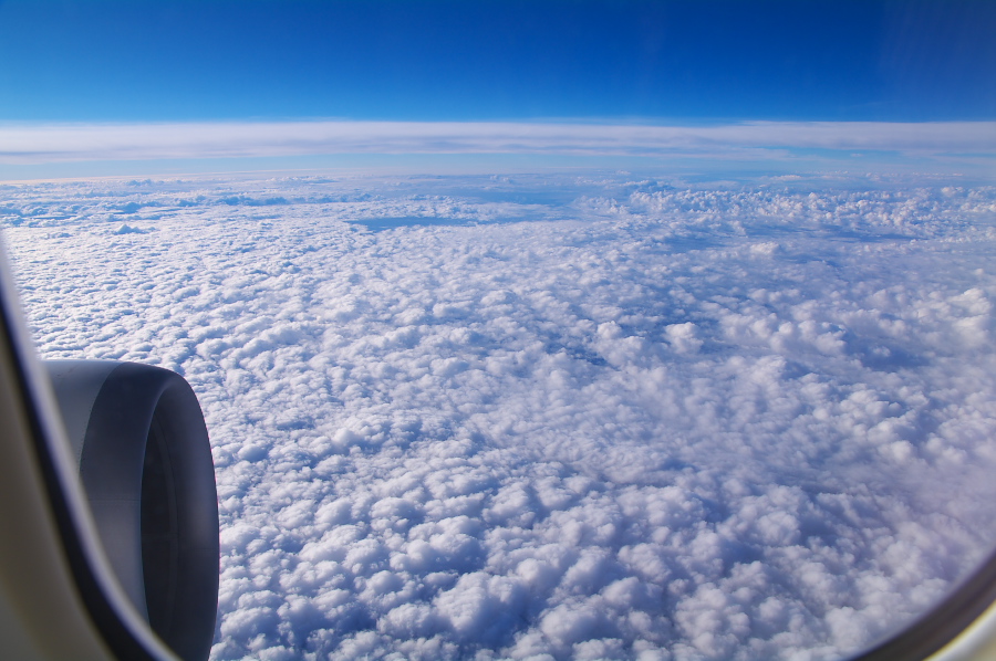 IMGP0202.jpg(301767 byte)