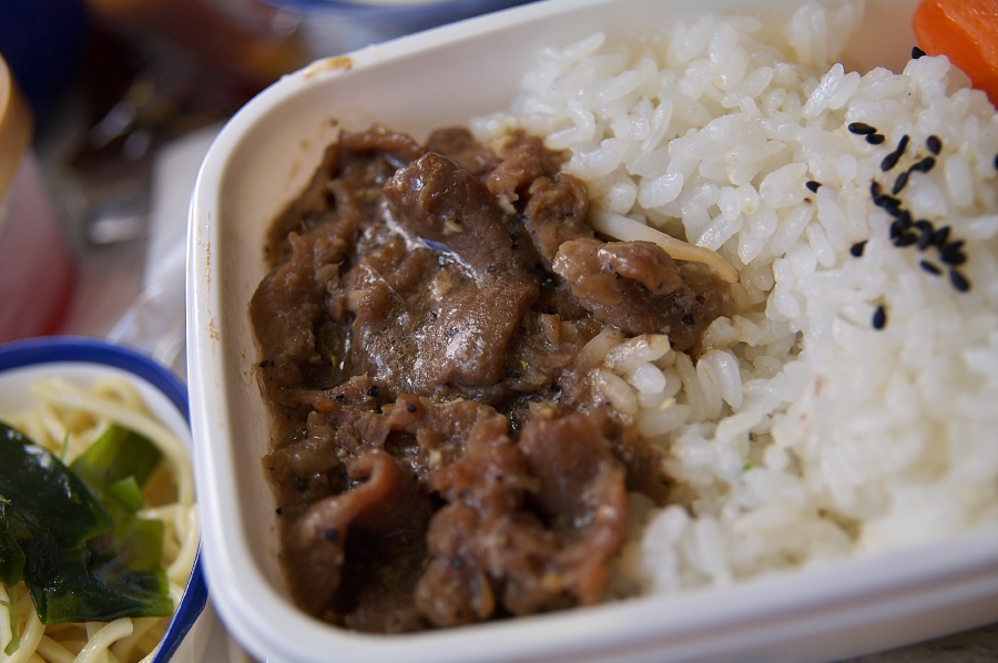 IMGP0212.jpg(257014 byte)