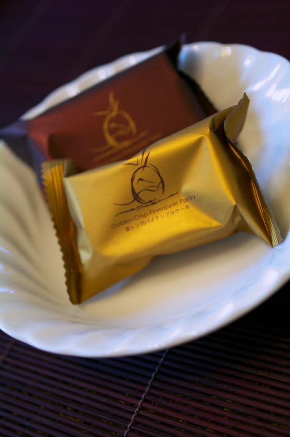 IMGP0024.jpg(181133 byte)