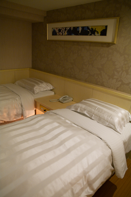 IMGP0020.jpg(350972 byte)