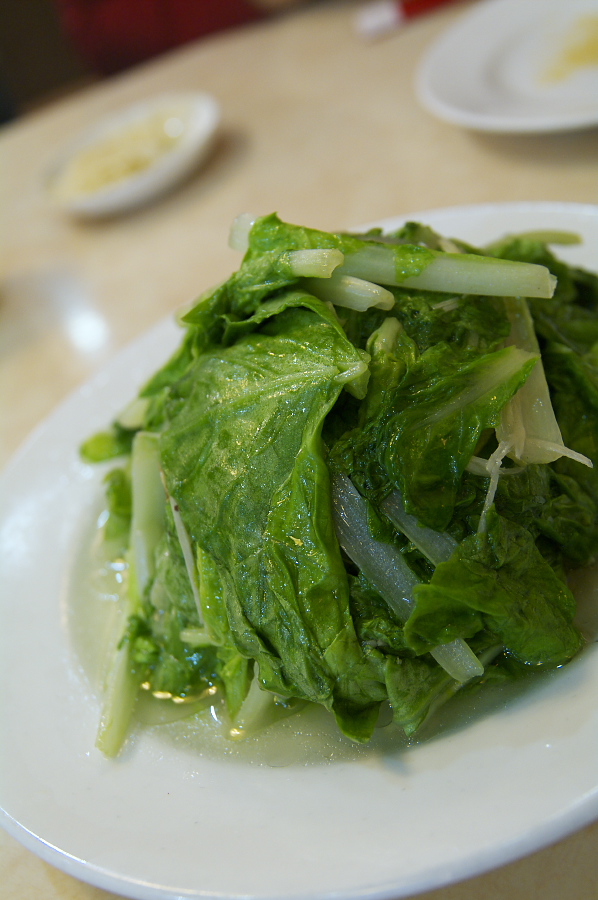 IMGP0042.jpg(258899 byte)