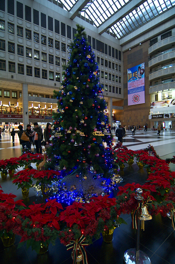 IMGP0093.jpg(1196681 byte)