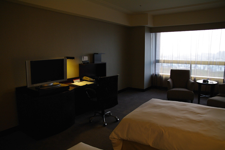 IMGP0180-.jpg(140118 byte)