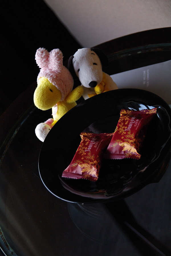 IMGP0194-.jpg(111603 byte)