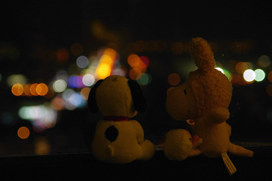 IMGP0204-.jpg(89369 byte)