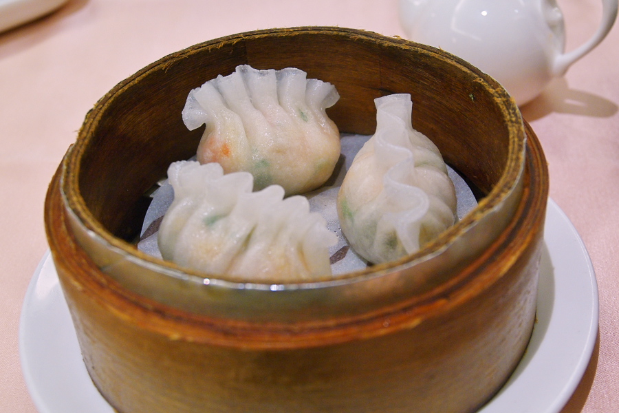 IMGP0235_1.jpg(259297 byte)