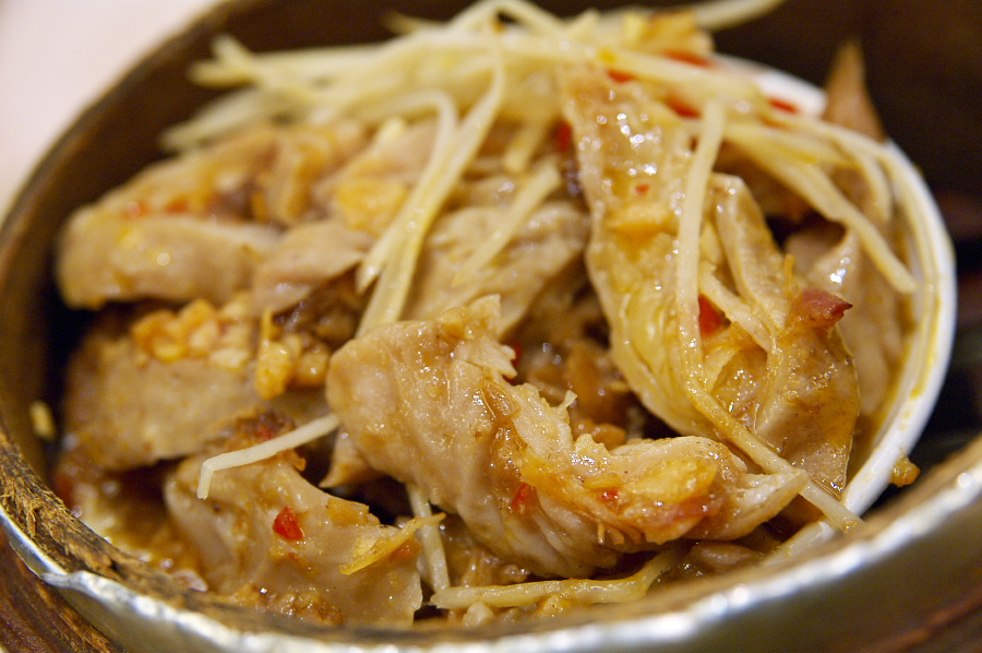 IMGP0266.jpg(360180 byte)