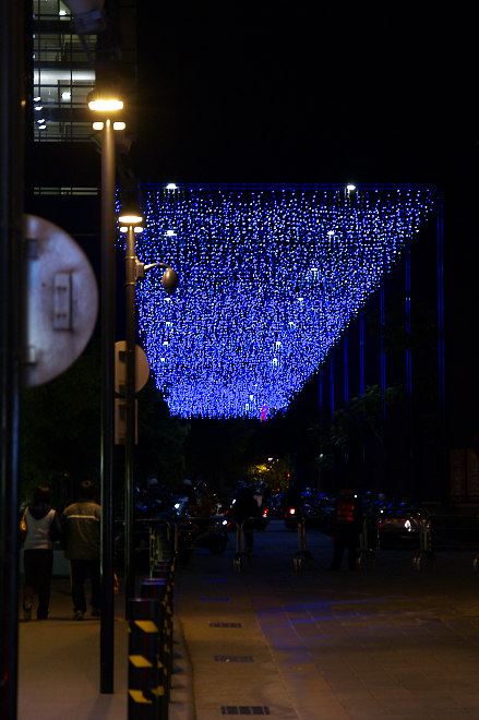 IMGP0293.jpg(432135 byte)