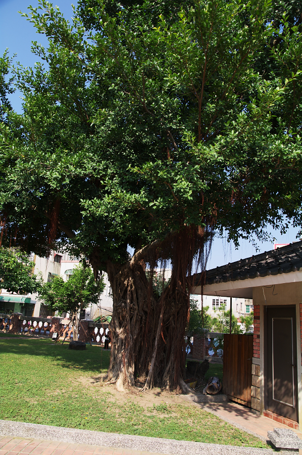 IMGP0075.jpg(1249404 byte)