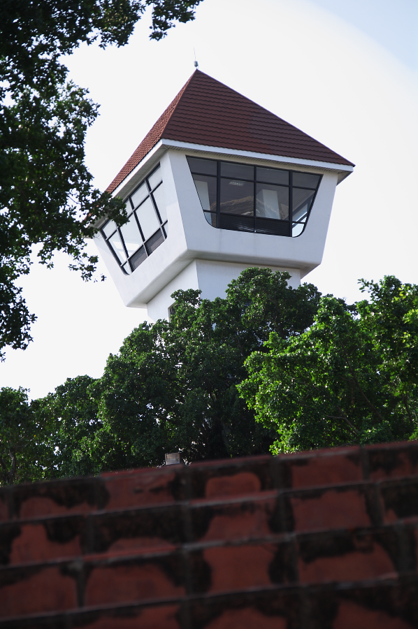 IMGP0082.jpg(639174 byte)