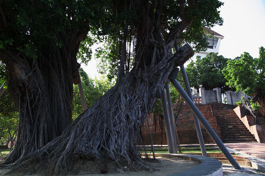 IMGP0093.jpg(950470 byte)