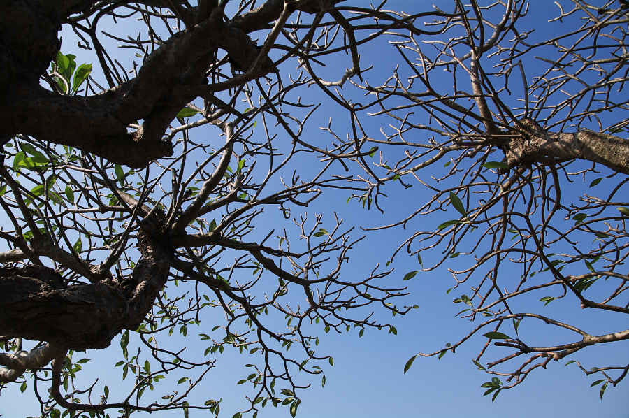 IMGP0101.jpg(1035097 byte)