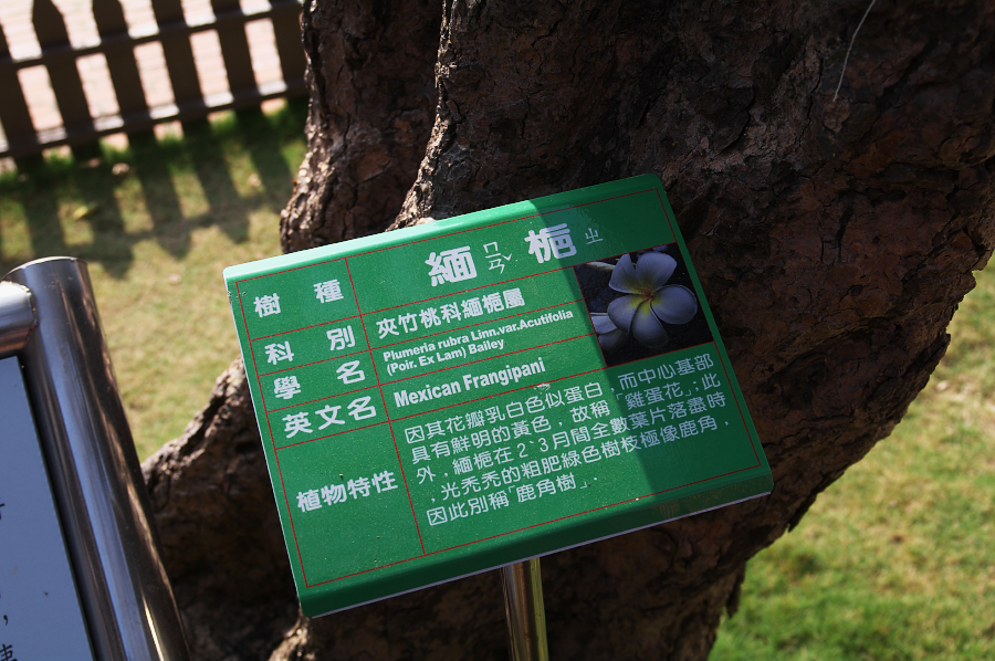 IMGP0102.jpg(715626 byte)