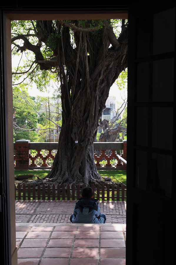 IMGP0130.jpg(688808 byte)