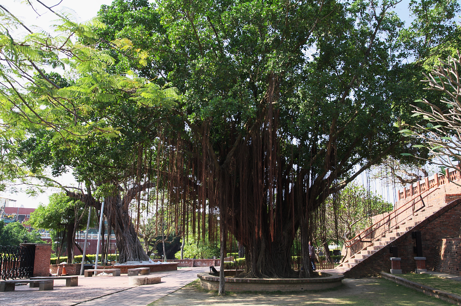 IMGP0135.jpg(1312482 byte)